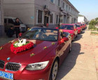 平安婚車 專業(yè)車隊服務，見證千場婚禮的承諾